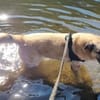 Notfall MYRTO, wunderschön und lieb!