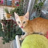 Annabelle & Willow suchen DICH!
