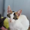 Annabelle & Willow suchen DICH!