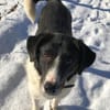 STAMOS (SAM) verliert sein Zuhause
