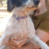 Kleine Wuscheline Lola sucht ein Zuhause