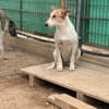 PERLA (Martina)
