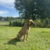 Liebe Mirella wartet auf Besuch!