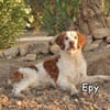 EPY
