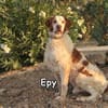 EPY