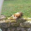 Ottosucht seine Menschen 🐾