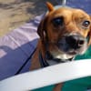 Ottosucht seine Menschen 🐾