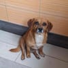 Ottosucht seine Menschen 🐾