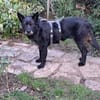 Mariechen sucht ein Zuhause