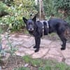 Mariechen sucht ein Zuhause