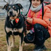 Axel - sanfter Familienhund