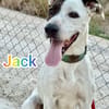 JACK
