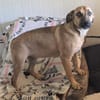 Mathilda ein super liebes Mädchen