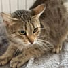 Myria  braucht Sicherheit 🐱