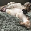 Gizmo kleiner süßer Junge .....