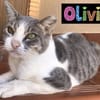Olivia