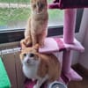 Uxia y ariel