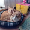 Uxia y ariel