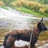 Torga