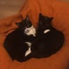 Cocó y marlene