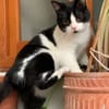 Gina