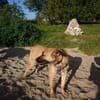 Mint, sportlicher Sonnenschein