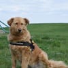 Lena, rauhe Schale- weicher Kern