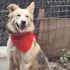 Ronja suche Menschen mit Herz