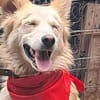 Ronja suche Menschen mit Herz