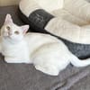 Ally sucht ihre Kuschelmenschen