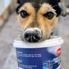 BUDDIE * Traumbursche für Erwachsene