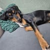 💕Maya💕 sucht sportliches Zuhause