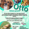Ottosucht seine Menschen 🐾