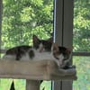 Sparkles und Mortis aus dem Tierschutz