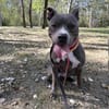 Draka