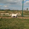 SKIPPY