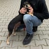Ziko