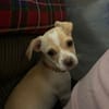 Ernie