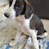 Marty ein echter Herzensbrecher