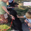 Nuska, unfassbar unkomplizierte Lady