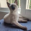 Mirta sucht Dich