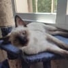 Mirta sucht Dich