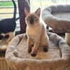 Mirta sucht Dich