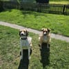 Wilma❤& Pepples suchen eine Endstelle