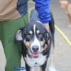 Matilda sucht ein liebevolles Zuhause