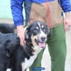 Matilda sucht ein liebevolles Zuhause