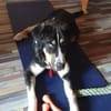 Matilda sucht ein liebevolles Zuhause
