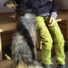 MAYA sucht Familie