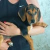 Zenia sucht ihr Glück