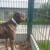 TAYSON QCN